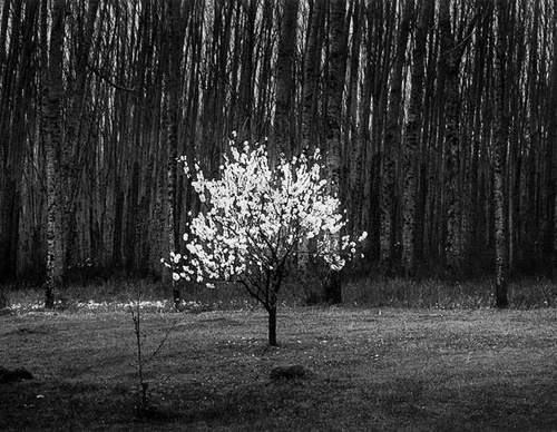Gallery Of Photography By Diego Ortiz Mugica - Argentina
