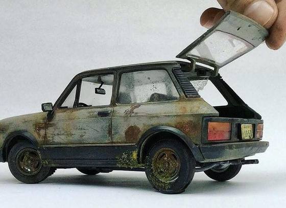 raphael truffi bortholuzzi brazil