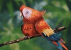 Gallery Of Character Design By Felipe Rodriguez - Colombia
