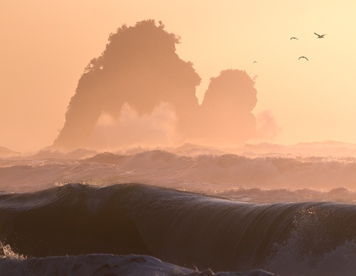 Galeria de fotografias de William Patino - Nova Zelândia