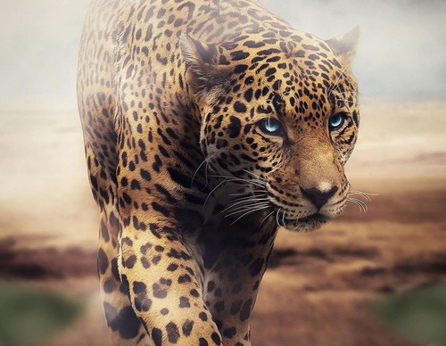 Galería de fotografías de Evgeny Gammer - Rusia