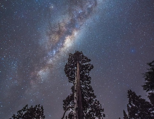 Gallery Of Photography By Fernando Gudenschwager - Chile