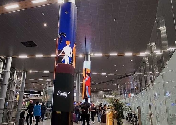 Obras de Beatriz González en el aeropuerto El Dorado