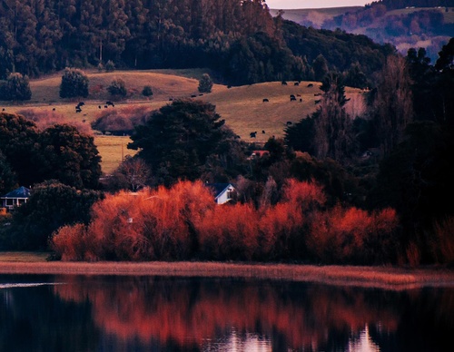 Gallery Of Photography By Sebastián Ojeda S - Chile