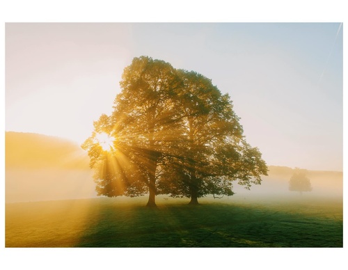Gallery Of Photography By Daniel Casson - England