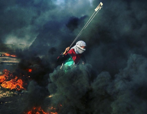 Galería de fotografías de Mohammed Zaanoun - Palestina