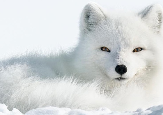 Galeria de fotografias de MagnusWinbjork -Suécia
