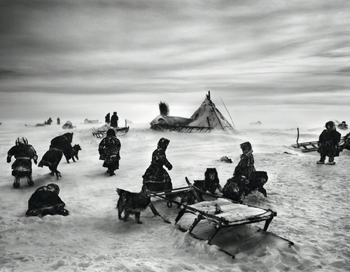 Galeria de Fotografia de Sebastião Salgado-Brasil