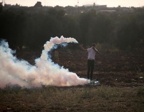 Galería de fotografías de Mohammed Zaanoun - Palestina