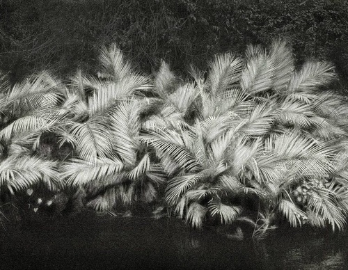 Gallery Of Photography By Cassio Vasconcellos - Brazil