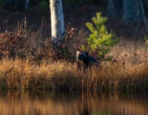 Gallery Of Photography By Elias Kalliola - USA