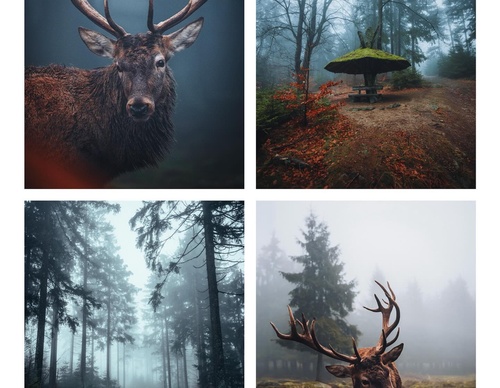 Gallery Of Photography By Patrick Monatsberger - Germany