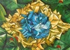 History of graphic art in Brazil