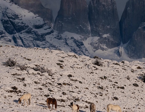 Gallery Of Photography By Timothy Dhalleine - Chile