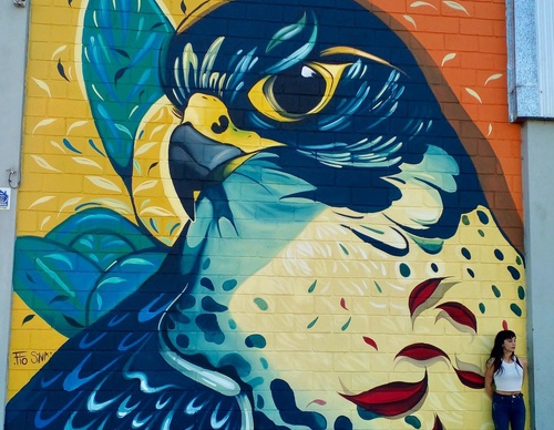 Gallery Of Street Art By Fio Silva - Argentina