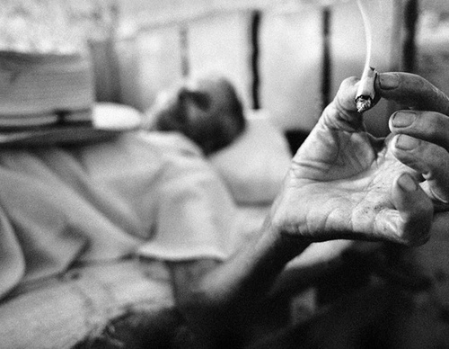raul canibano