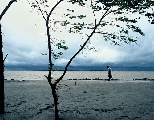 shahidul alam