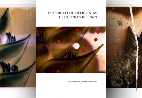 Refrão de Heliconias | Fotos de Damaris Betancourt | Cuba