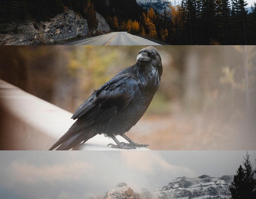 Gallery Of Photography By Rocio Del Valle - Chile