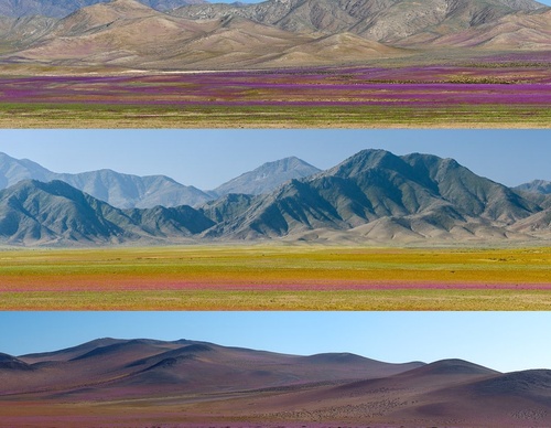 Gallery Of Photography By Gerhard Hüdepohl - Chile