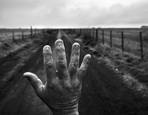 world press photo
