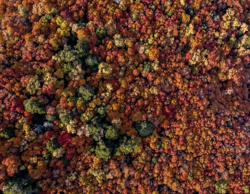 Galería de fotografía de Christian Aguirre Duffourc - Chile