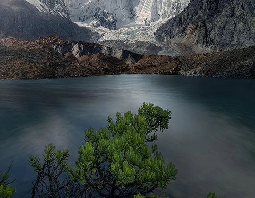 Gallery Of Photography By Max Rive - Netherlands